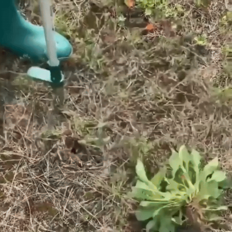 RootNabber™ Garden Root Weeder