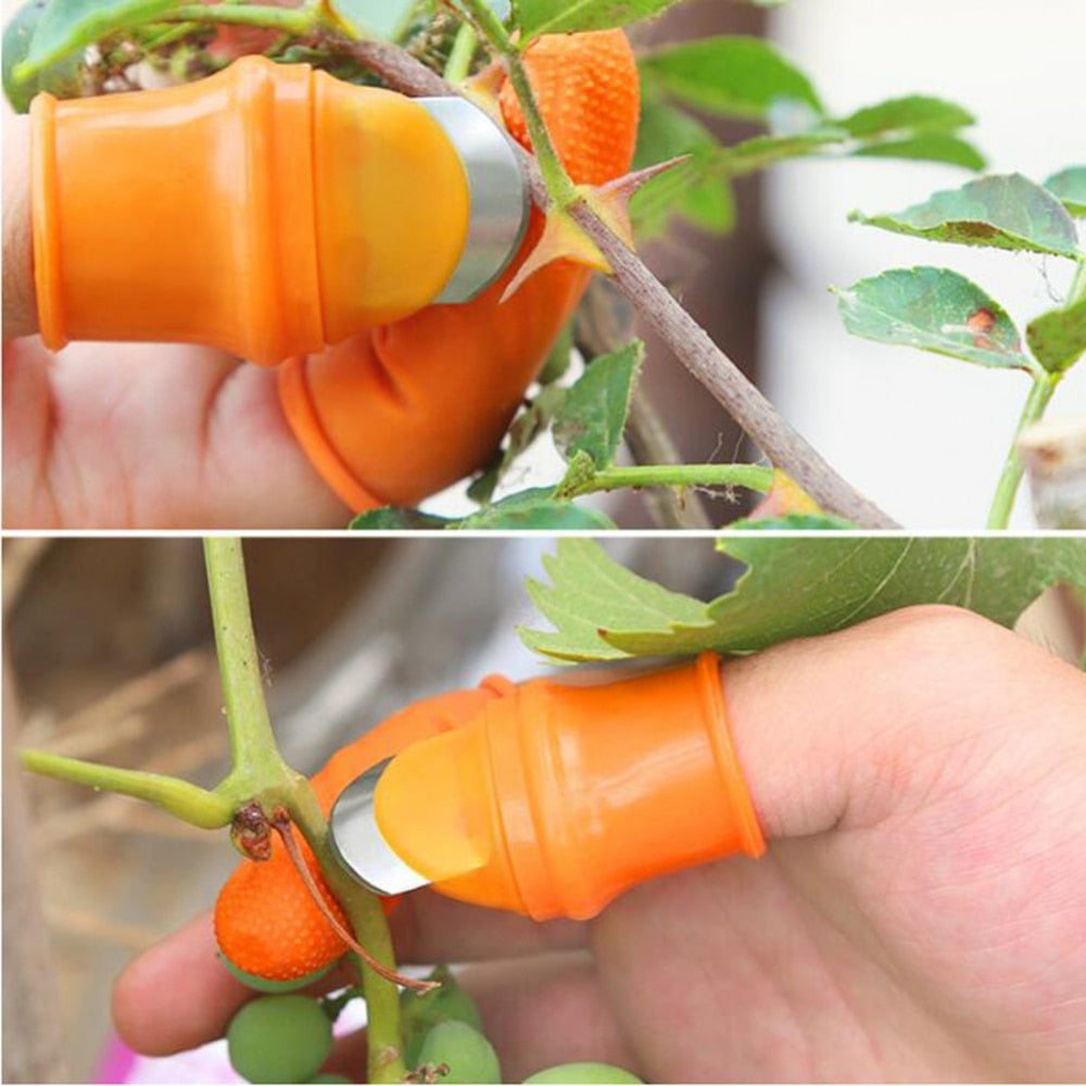 Vegetable Fruit Picker Pickle Pepper Nail Pick