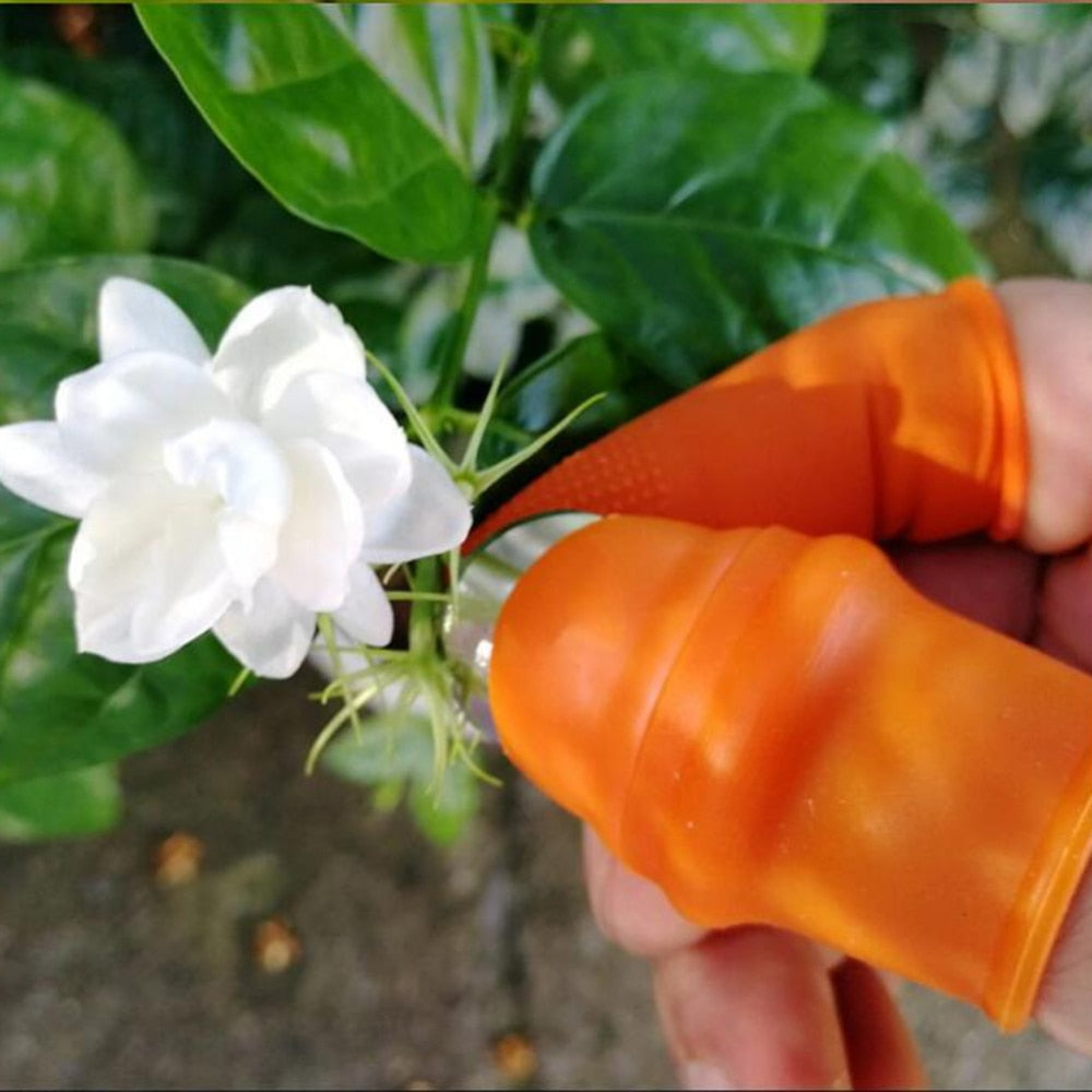 Vegetable Fruit Picker Pickle Pepper Nail Pick