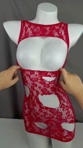 Exquisite Mesh Lingerie Set