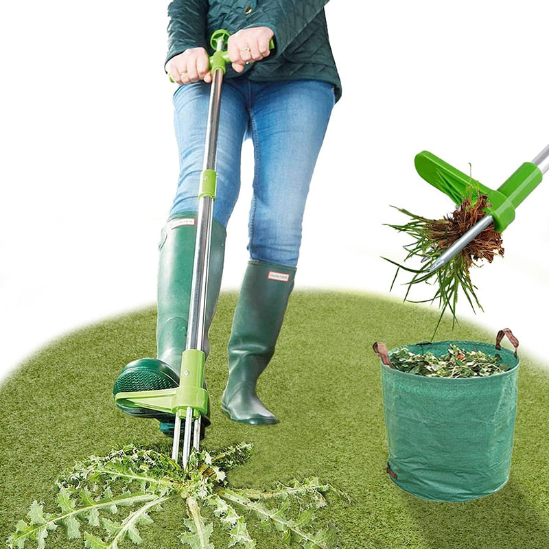 RootNabber™ Garden Root Weeder