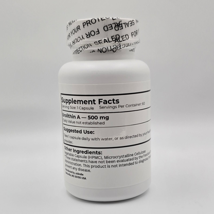 Lonvanta™ Urolithin A — 500 mg, 60 Capsules