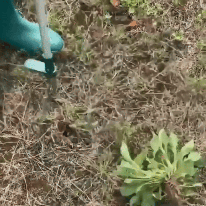 RootNabber™ Garden Root Weeder