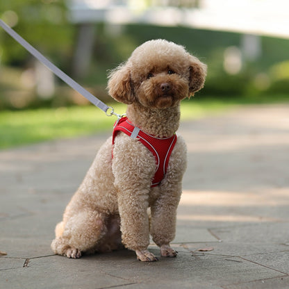 Small Dog Adjustable Harness & Leash Set