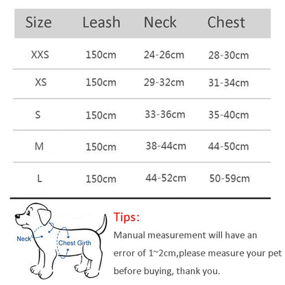 Small Dog Adjustable Harness & Leash Set