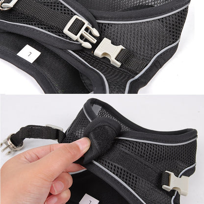 Small Dog Adjustable Harness & Leash Set