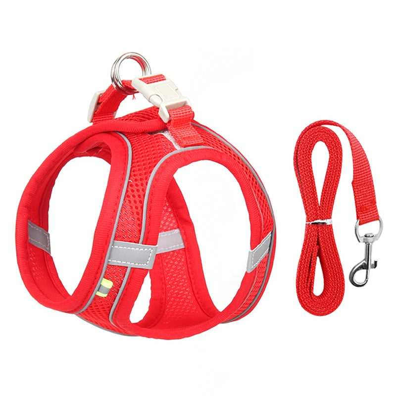 Small Dog Adjustable Harness & Leash Set