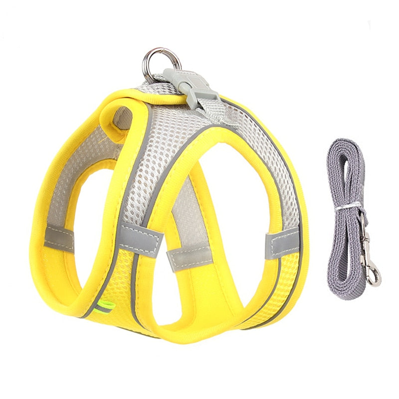 Small Dog Adjustable Harness & Leash Set