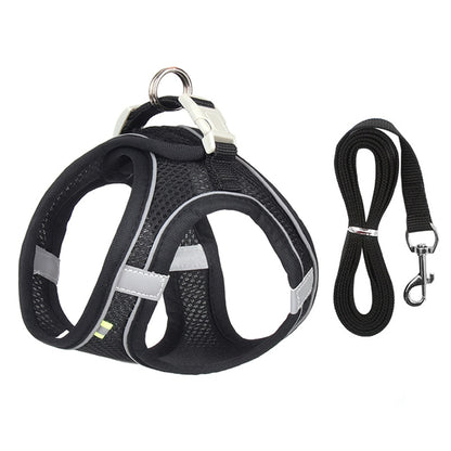 Small Dog Adjustable Harness & Leash Set