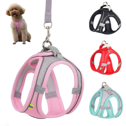 Small Dog Adjustable Harness & Leash Set